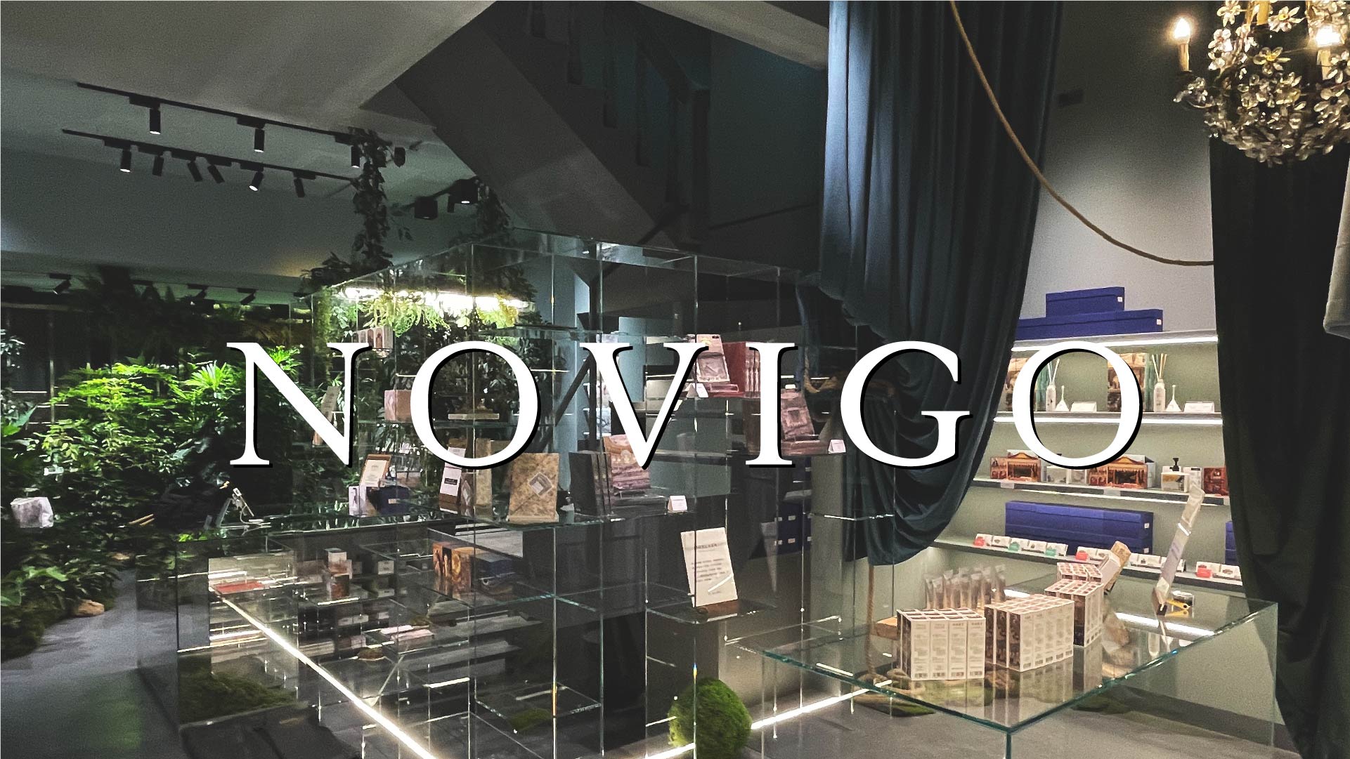 Novigo植物園LOGO