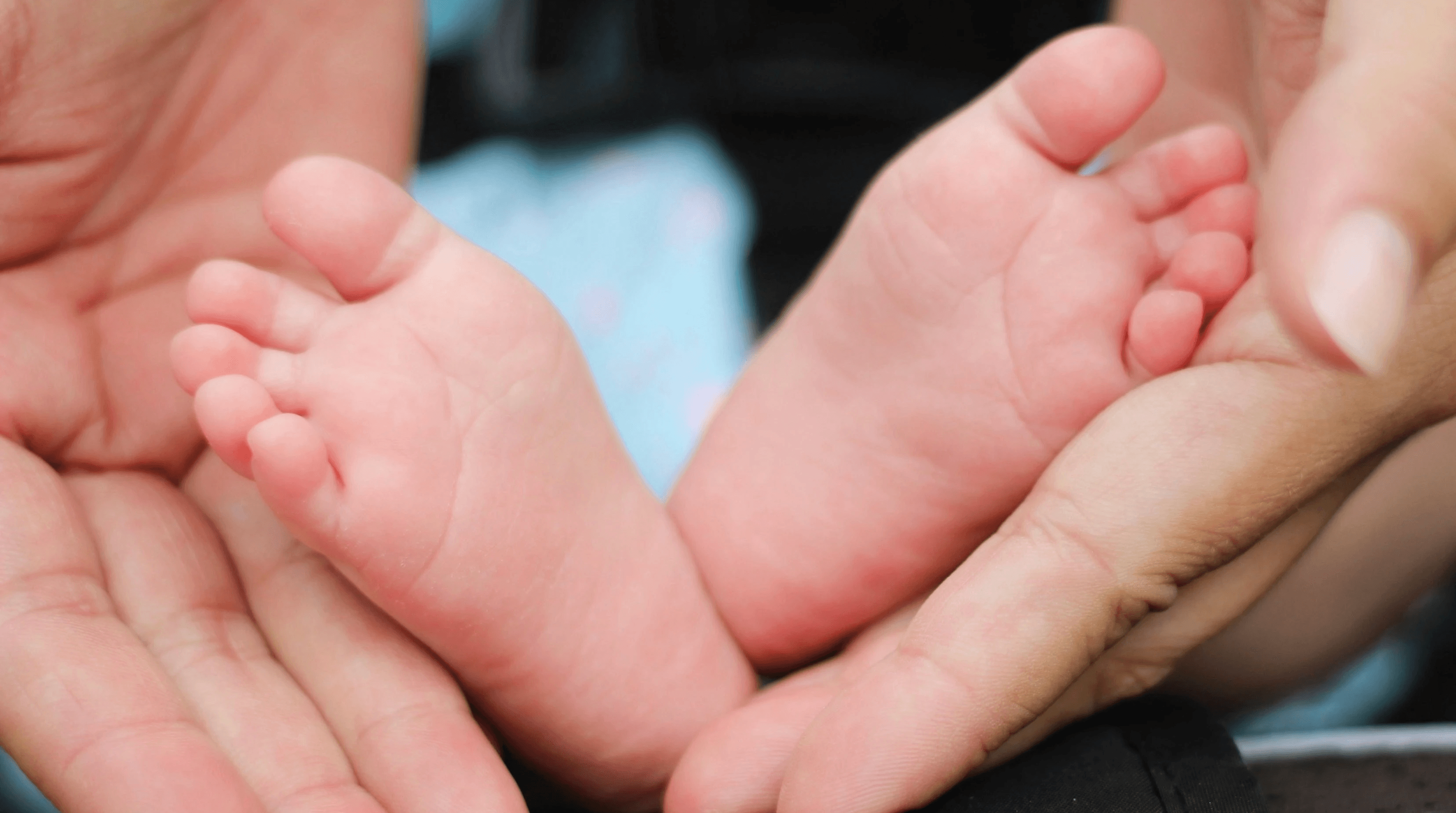 person holding baby feet