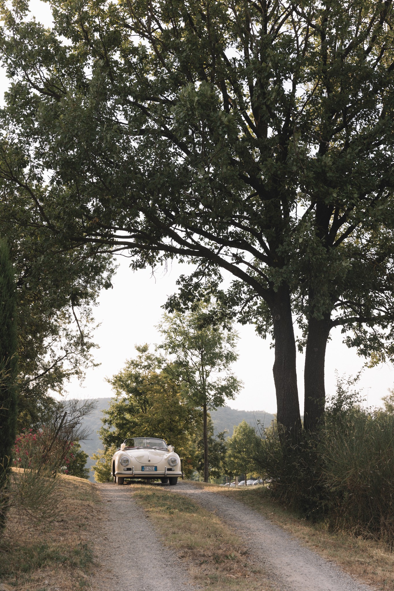 Viale alberato al Parco di Montebello con auto d'epoca, dettaglio del reportage matrimoniale di Barbara e Guido