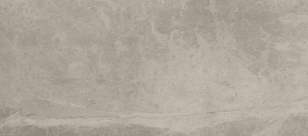 Spider Grey