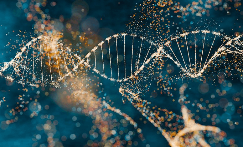 High school student studying genetics research with DNA diagrams and data charts on a desk