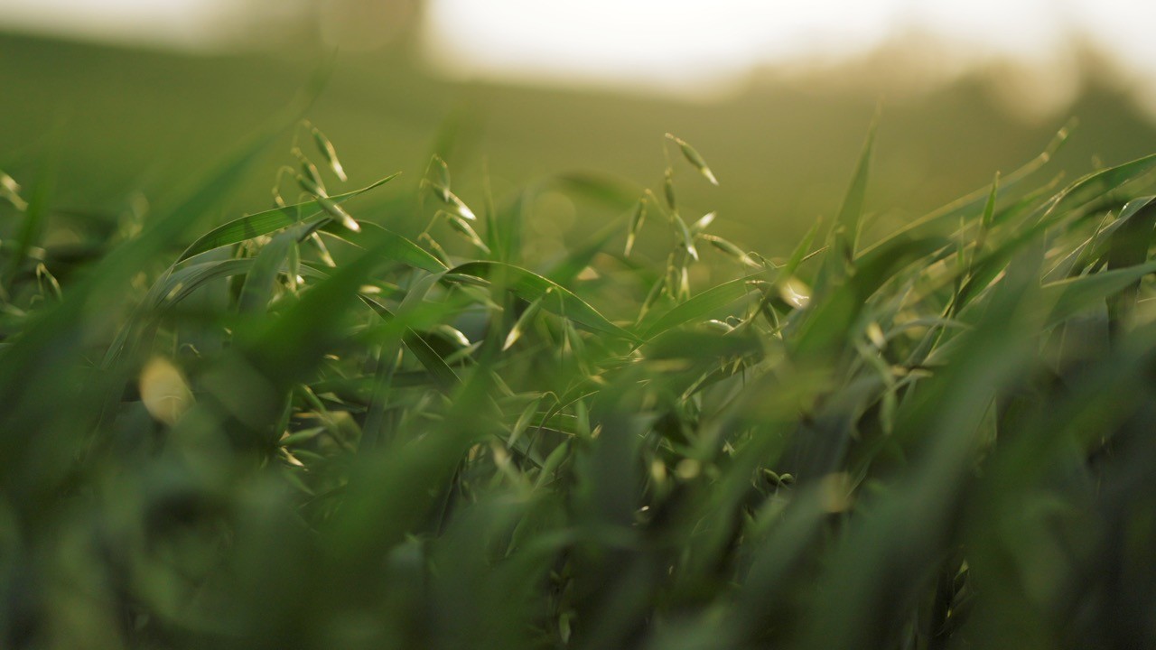 Visual Narrative - Video Production Northern Ireland