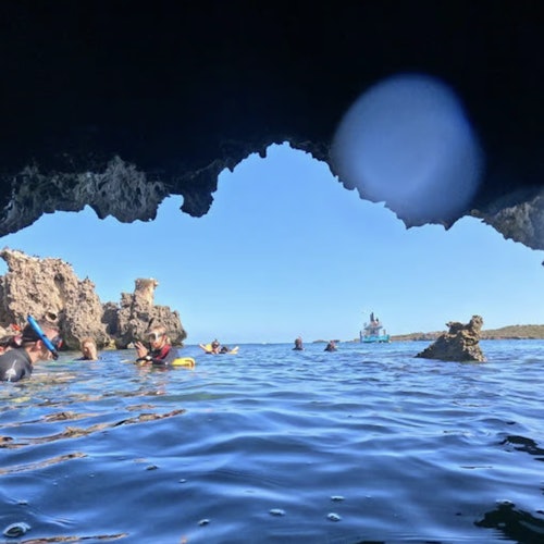 Shoalwater Islands Marine Park: Guided Snorkeling Tour + Lunch tickets in Perth