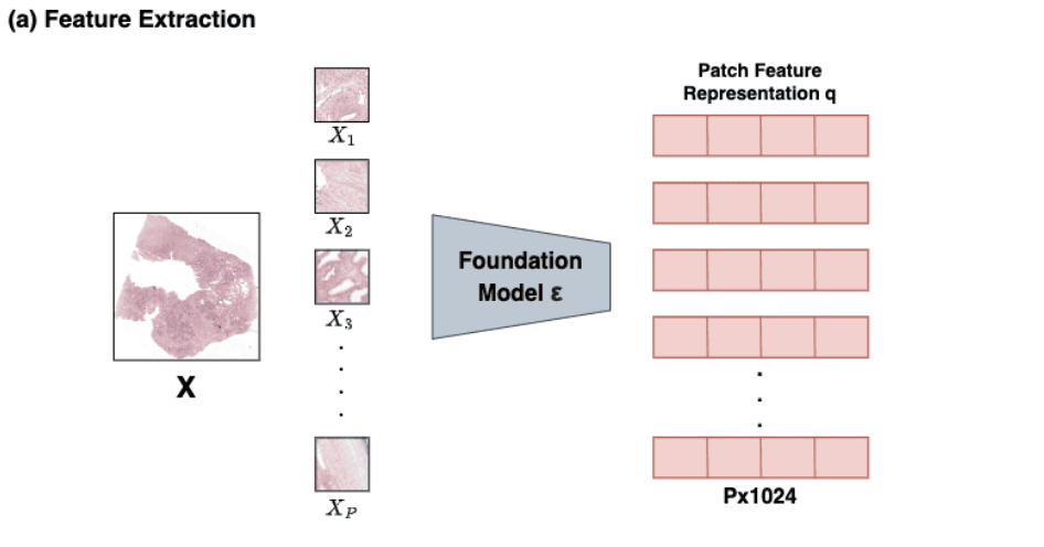 DesignCube - Tablet Screens