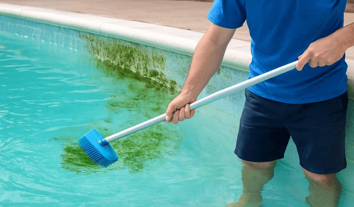 Robotic pool cleaner removing green algae from pool surfaces