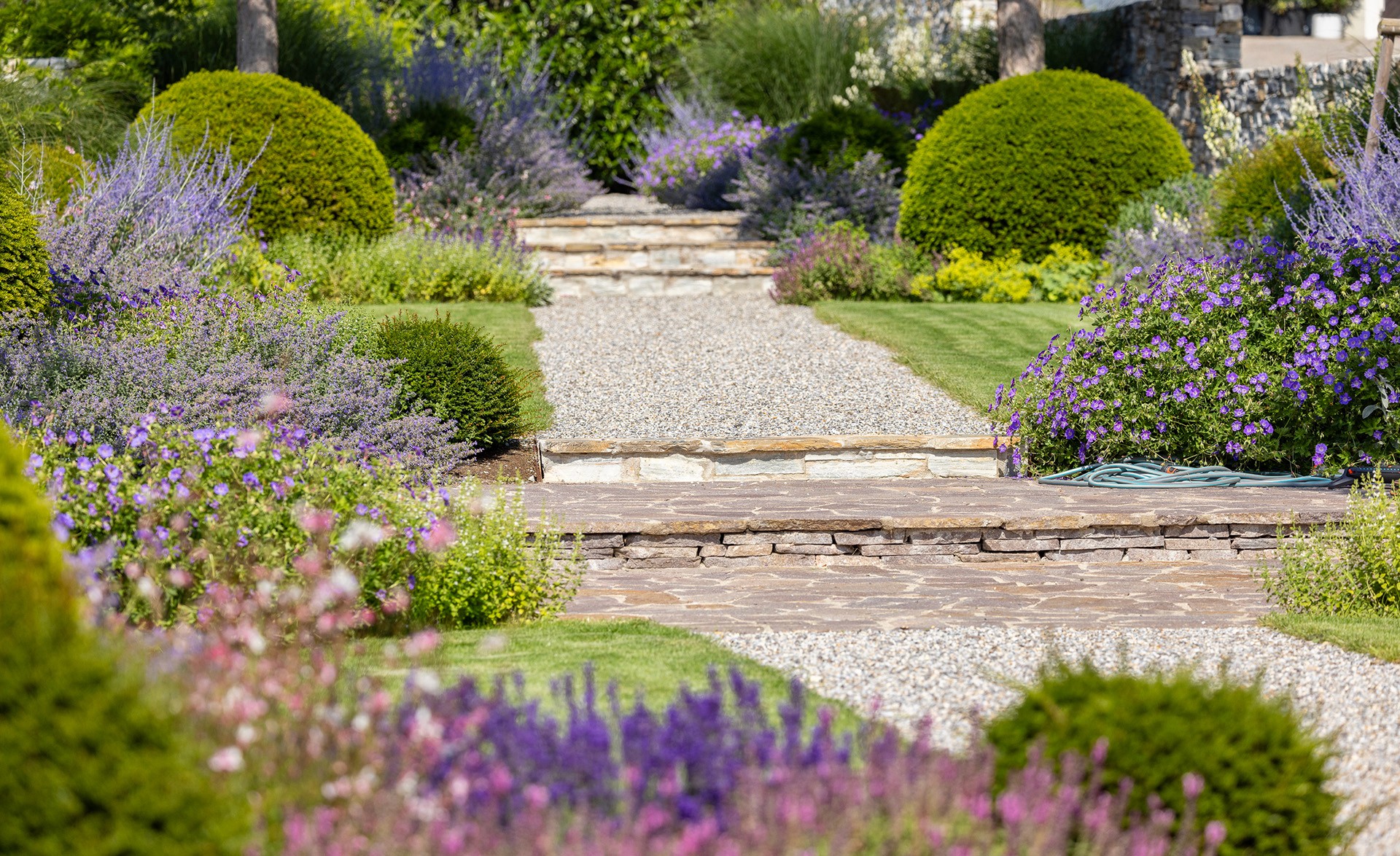 Kiesweg durch einen Garten mit blühenden Stauden, Gräsern und geschnittenen Kugelsträuchern.