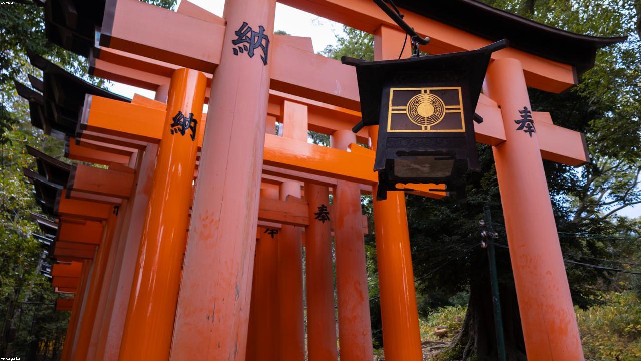 Kyoto Red Gates