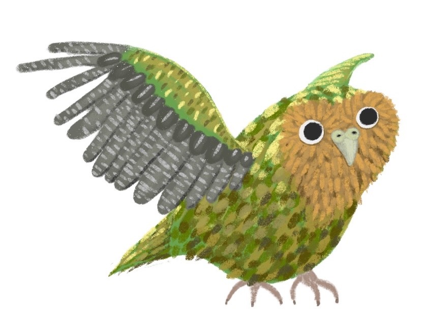 Illustration of Mauri stretching his wings