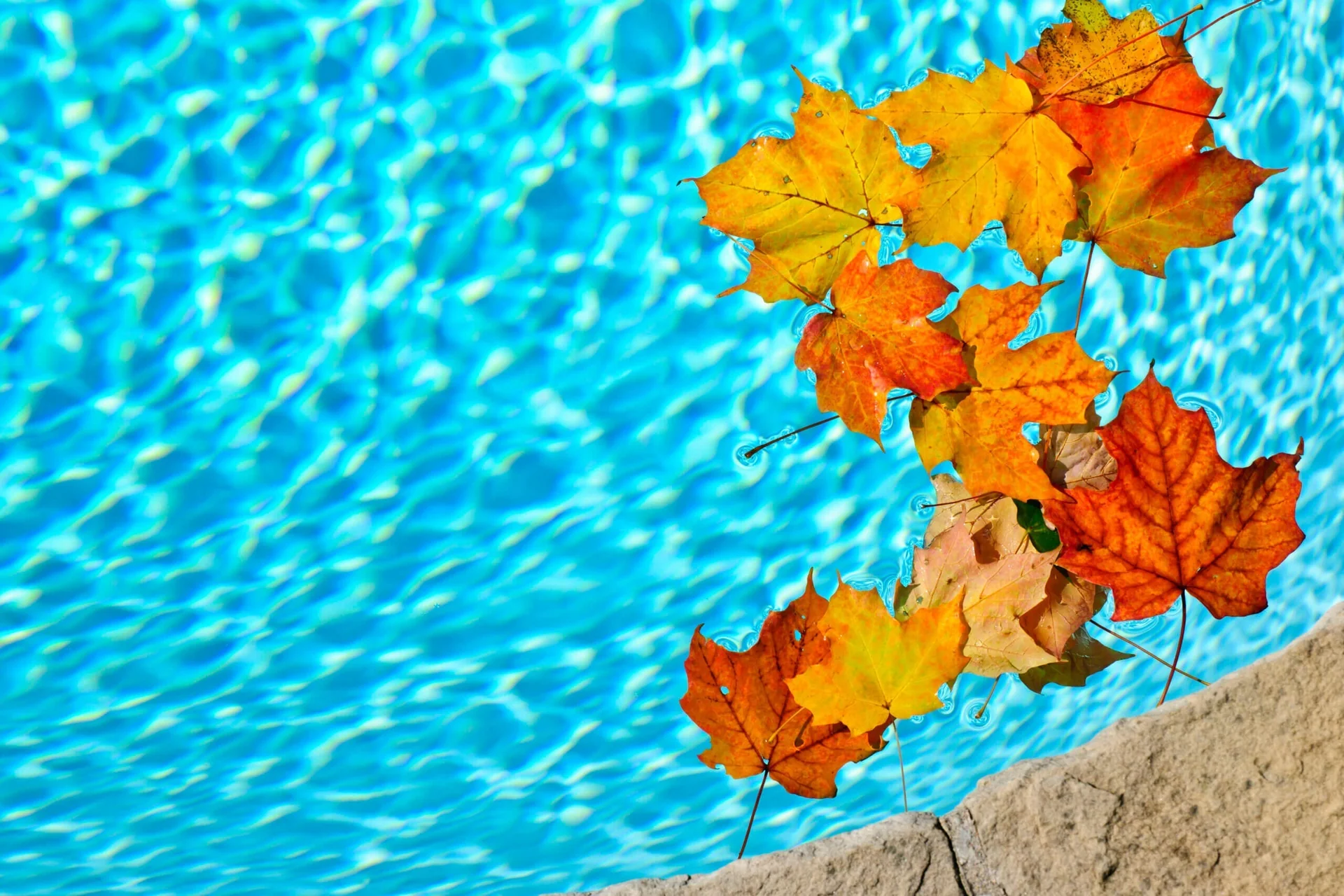 Can a Cordless Robotic Pool Cleaner Pick Up Leaves? What You Need to Know
