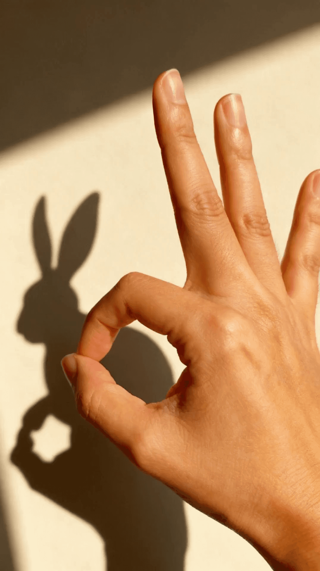 Shadowplay to Cosplay Bunny Maid - Creative story AI video template for TikTok and Instagram Reels