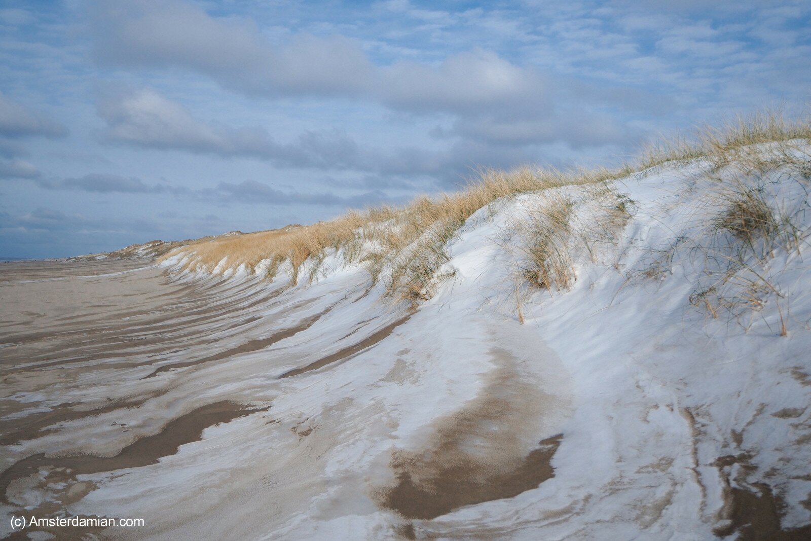 Dunes of North Holland in Winter