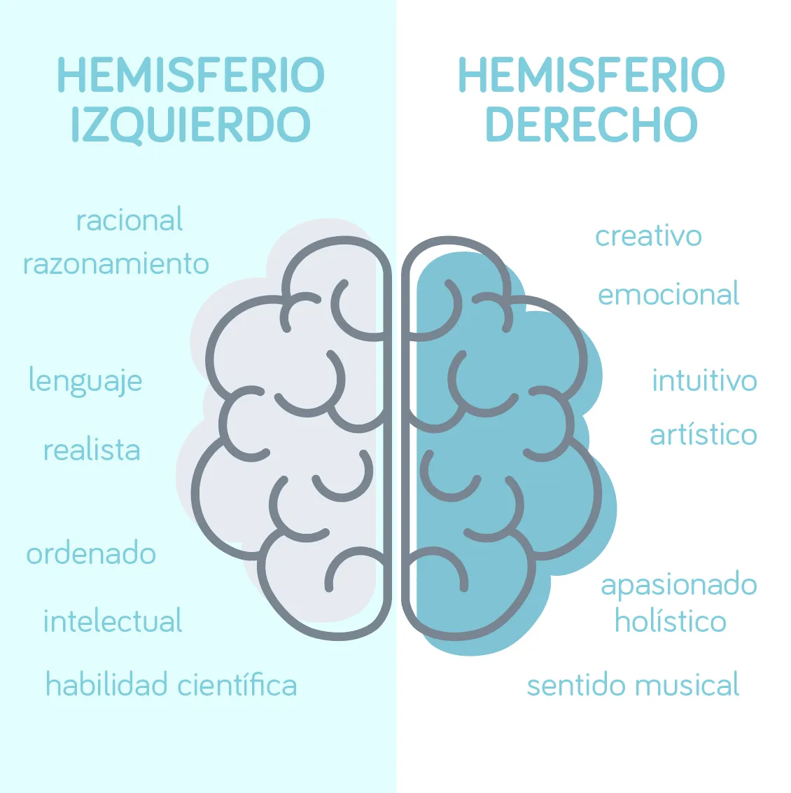 El cerebro del niño