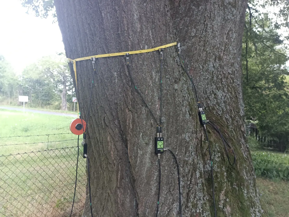EntTreeCare – měřící sondy