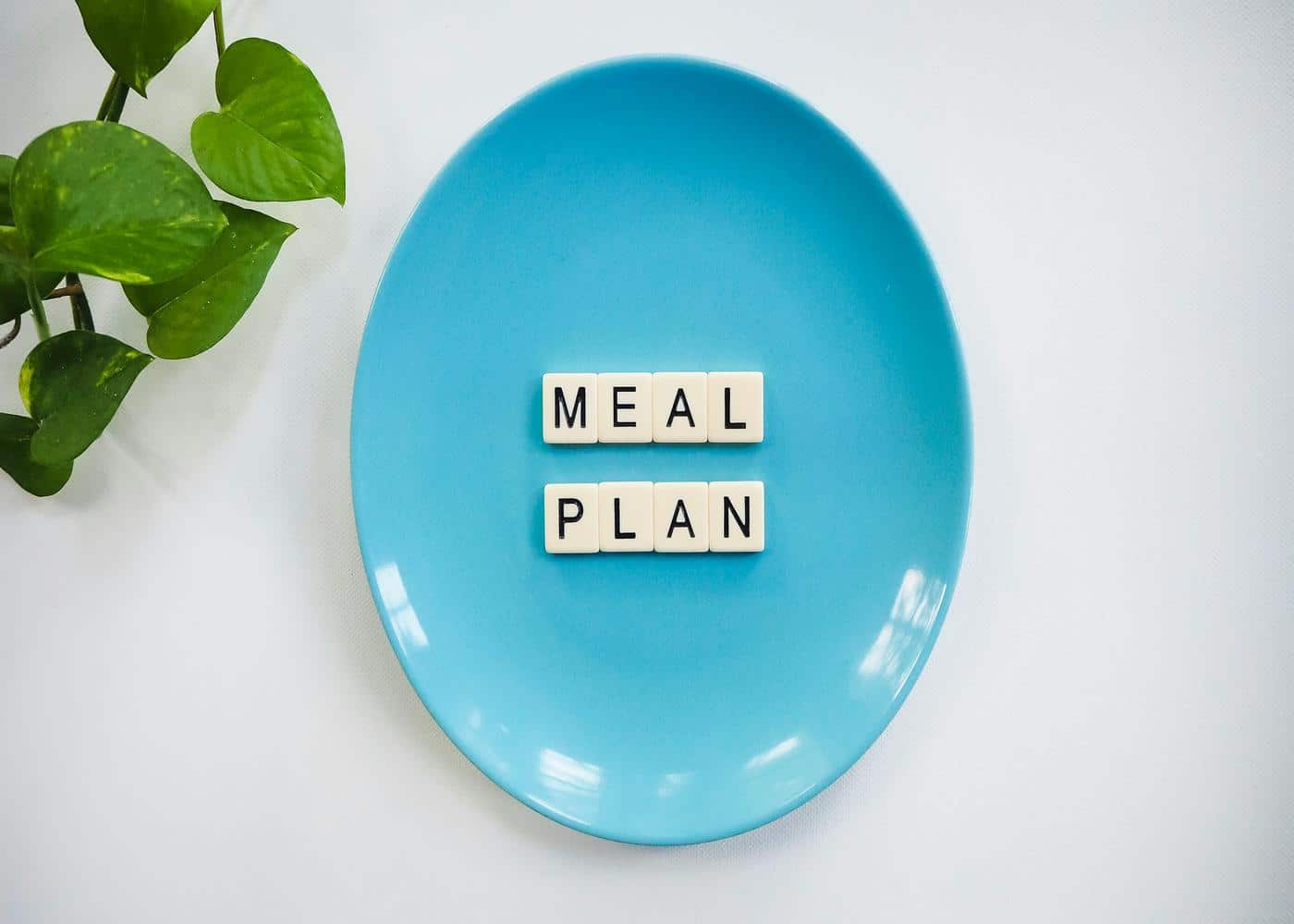 Blue plate with the words Meal Plan on top of it