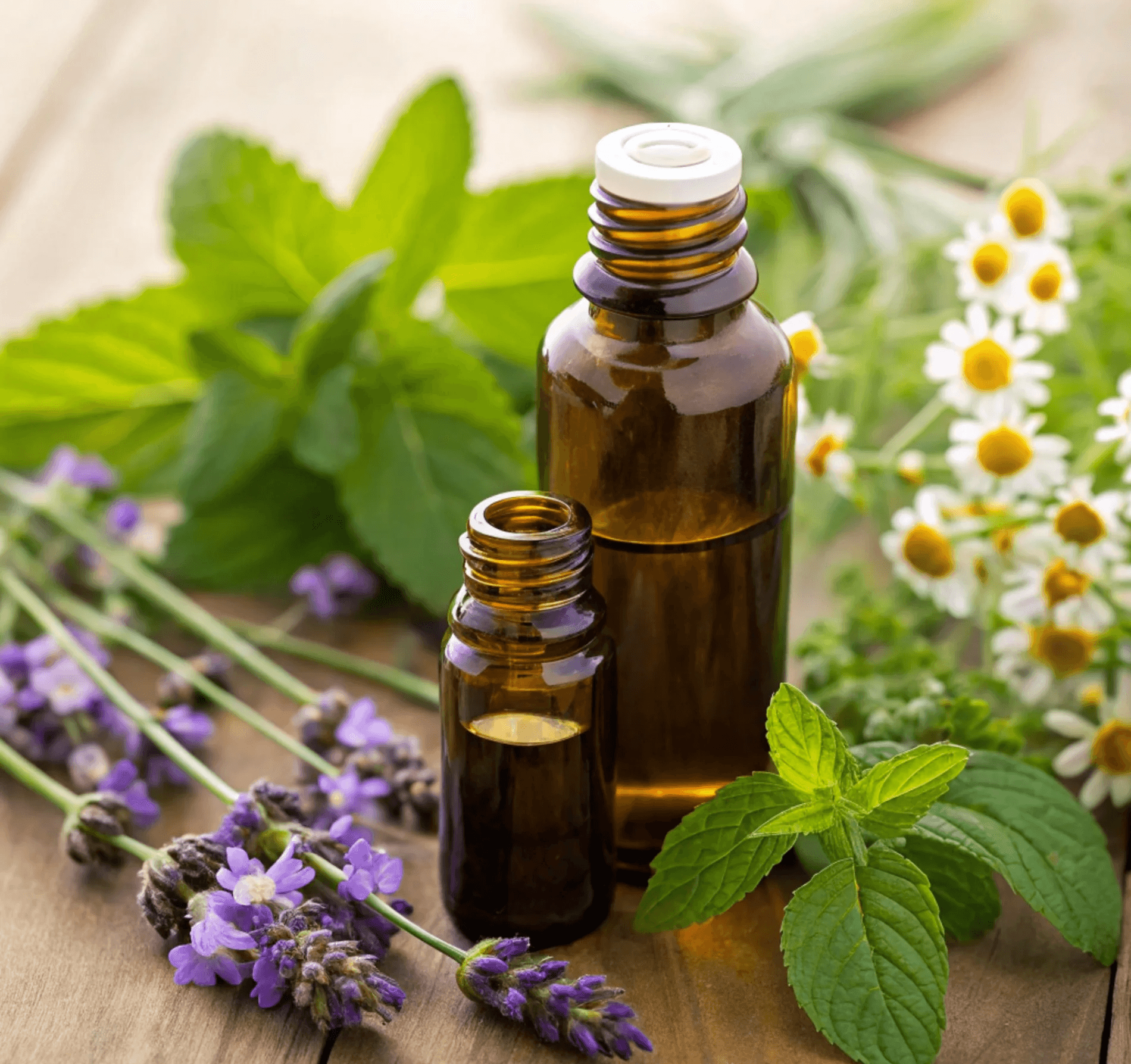 Bottiglie di oli essenziali per aromaterapia e benessere olistico con Giacomo Tropea