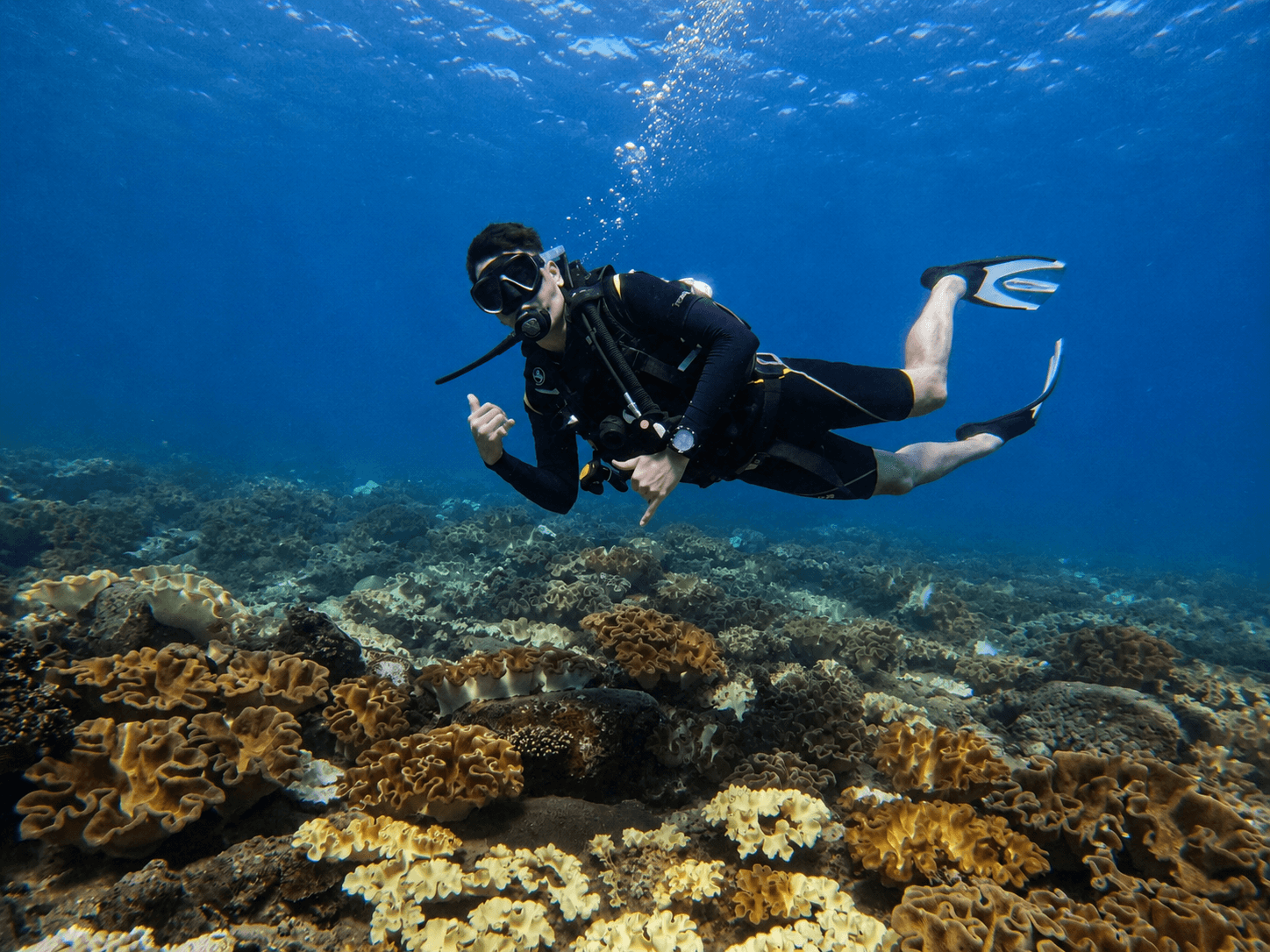 Blue Water Sports diver exploring Coral Garden dive site in Trincomalee