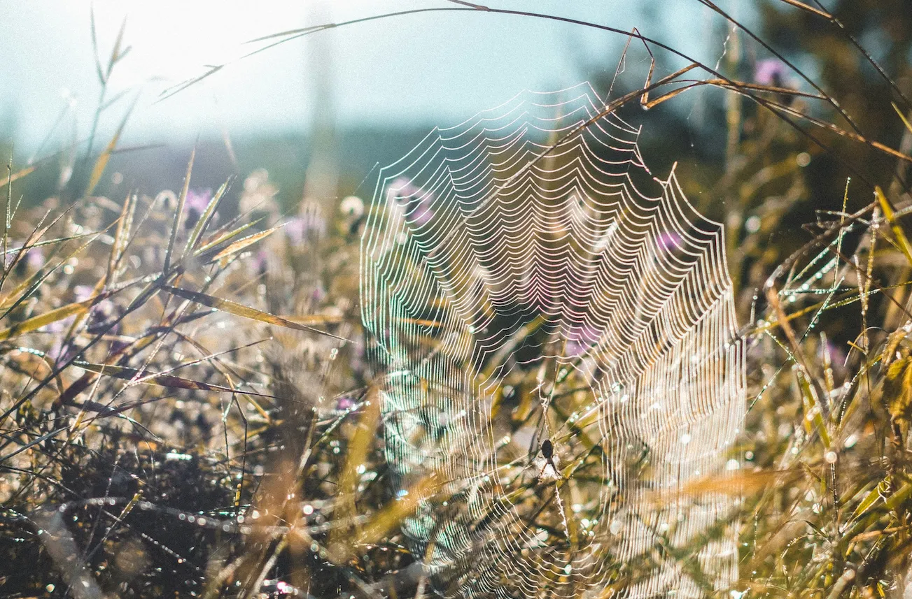 When You Stop Posting for Everyone: How Precision Turned Socials into a Growth Engine