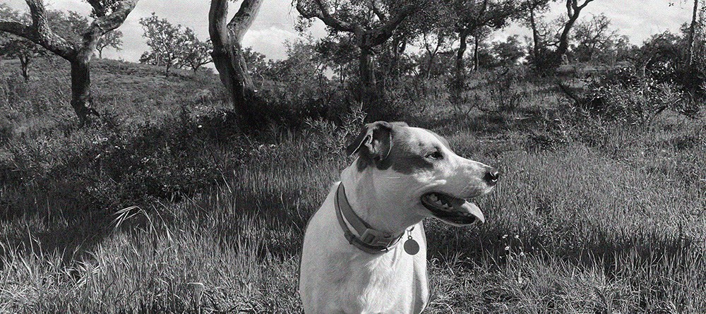 Man Wearing Sunglasses