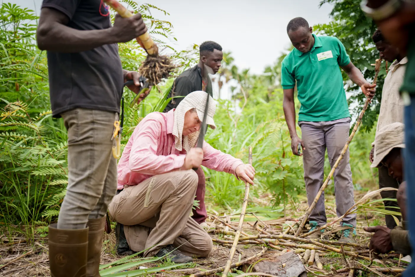 Ein Team untersucht gemeinsam eine Waldfläche bei PROJECT TOGO