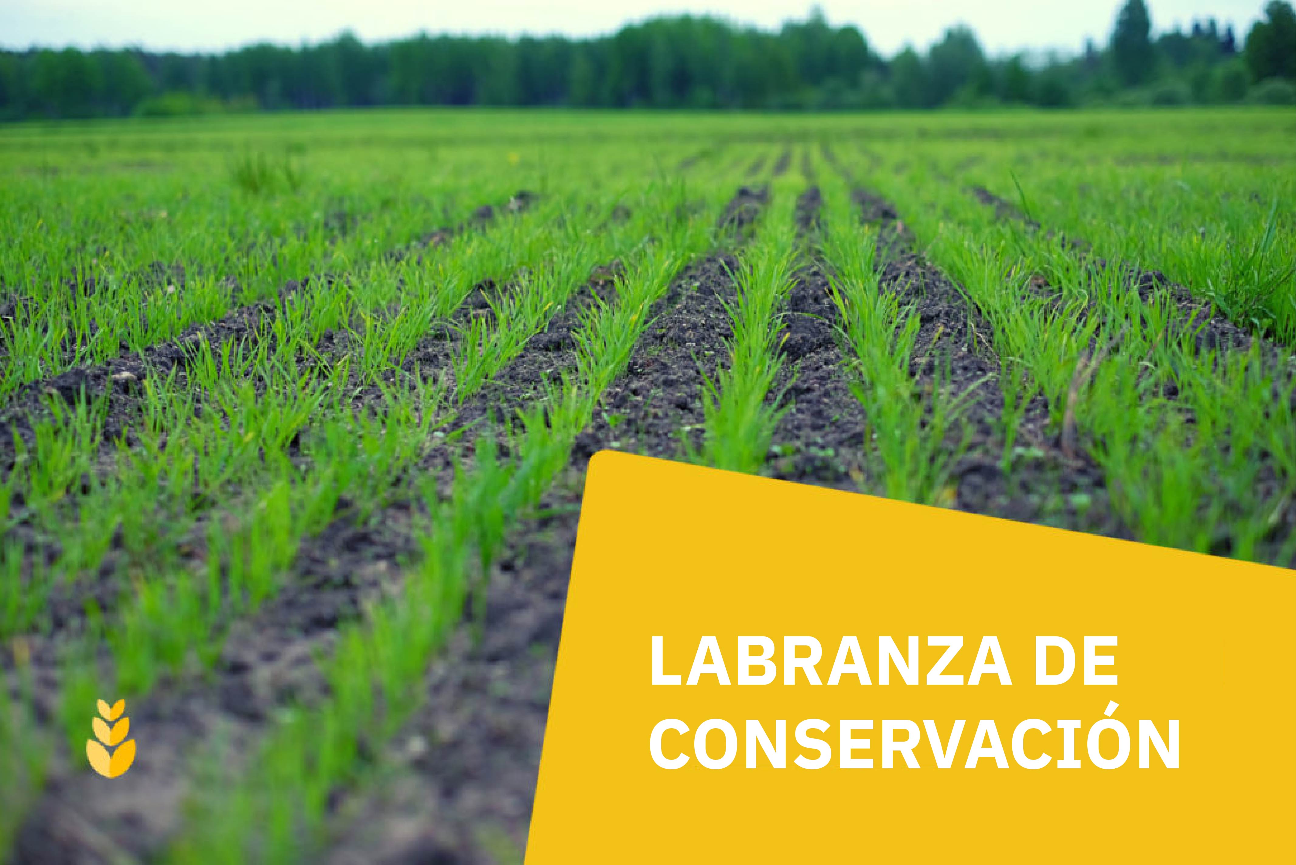 Labranza de conservación