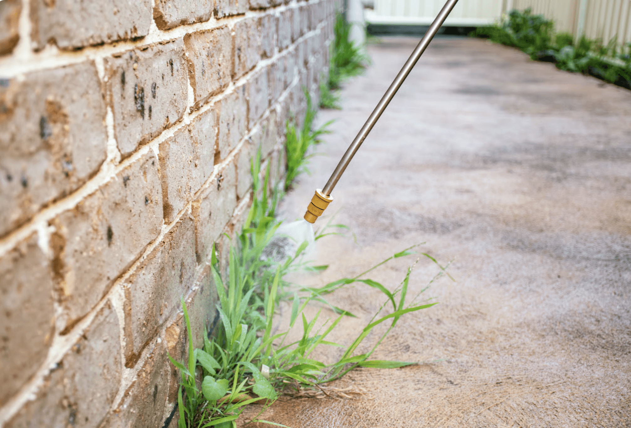 best non-toxic weed killer