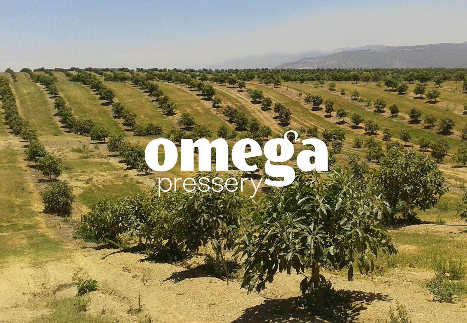 Off white inspired collage to show brownmint as a multidisciplinary design studio