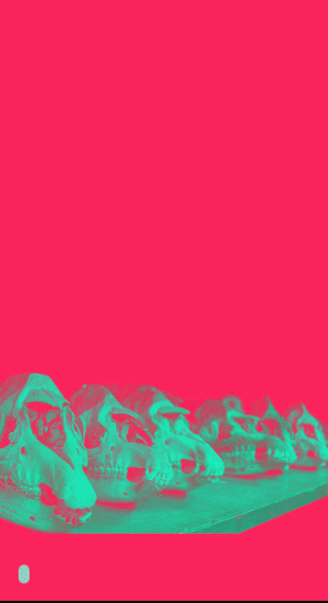 design pic
