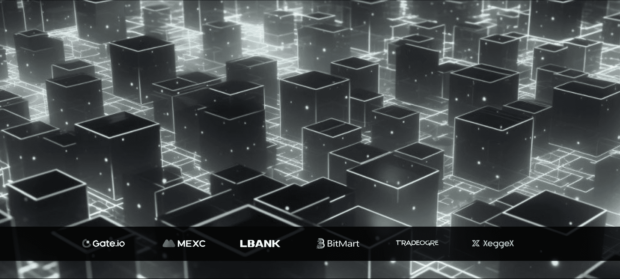DNX Exchanges