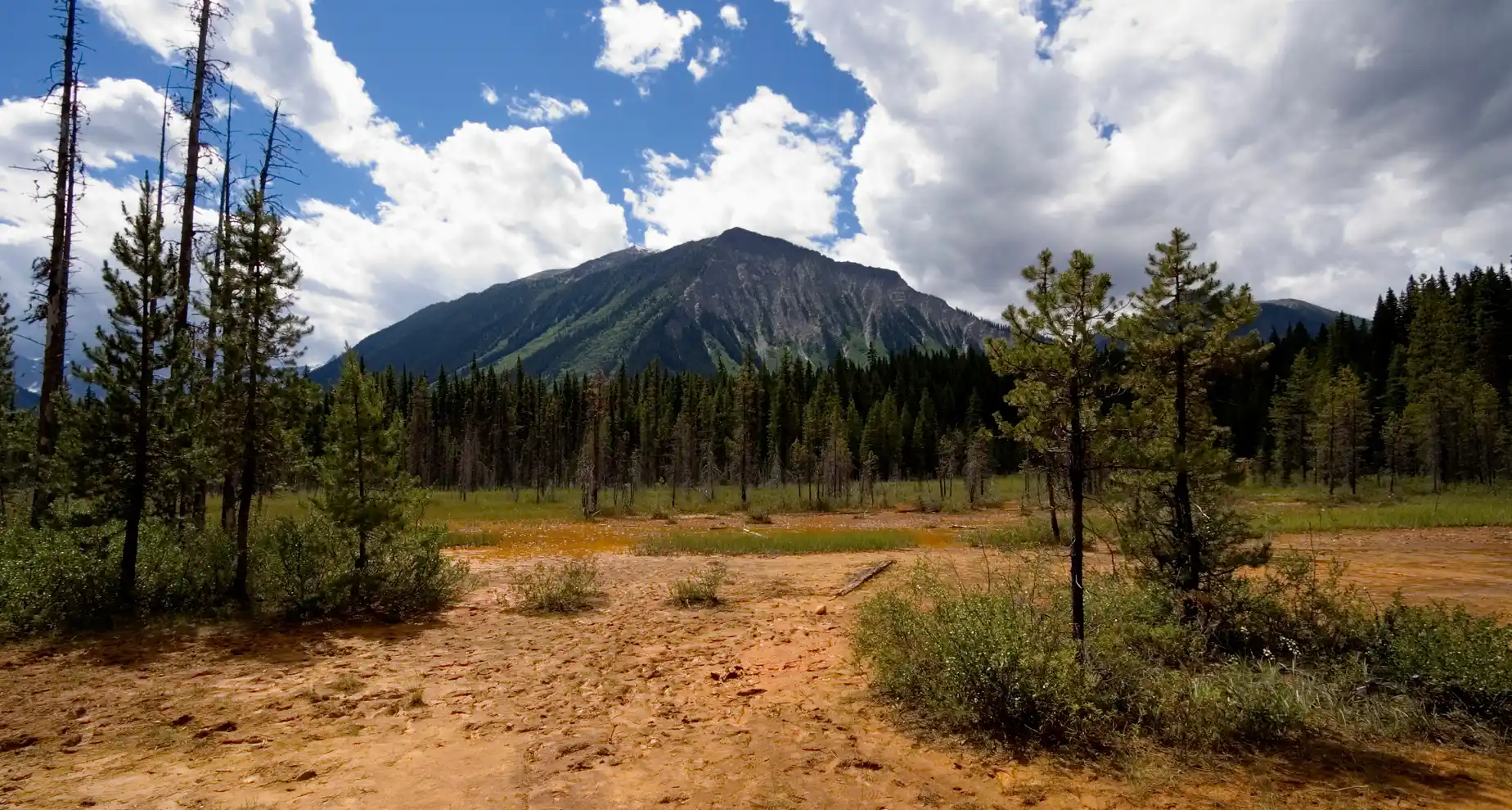 International Trade Inclusivity