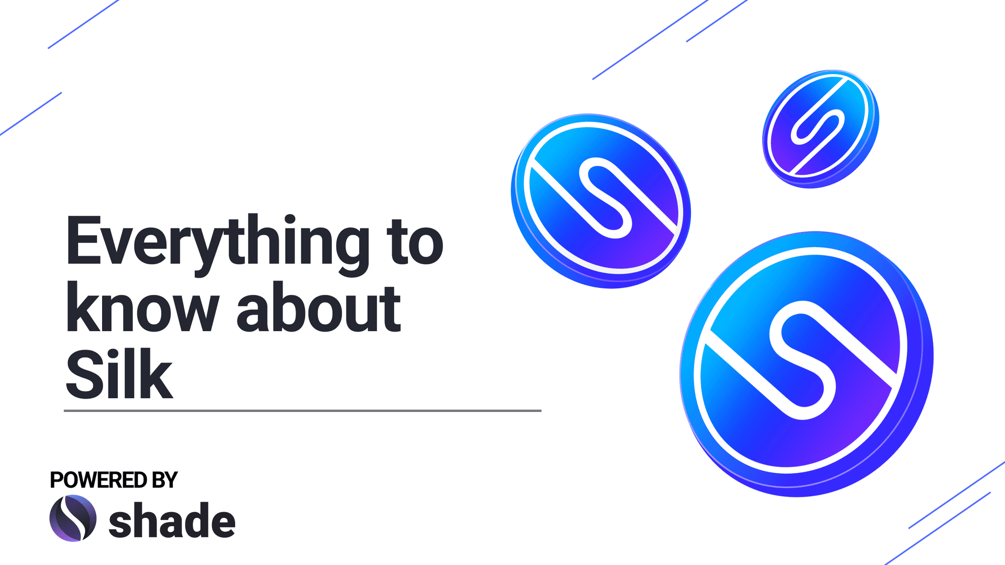 Everything you need to know about Silk Blog