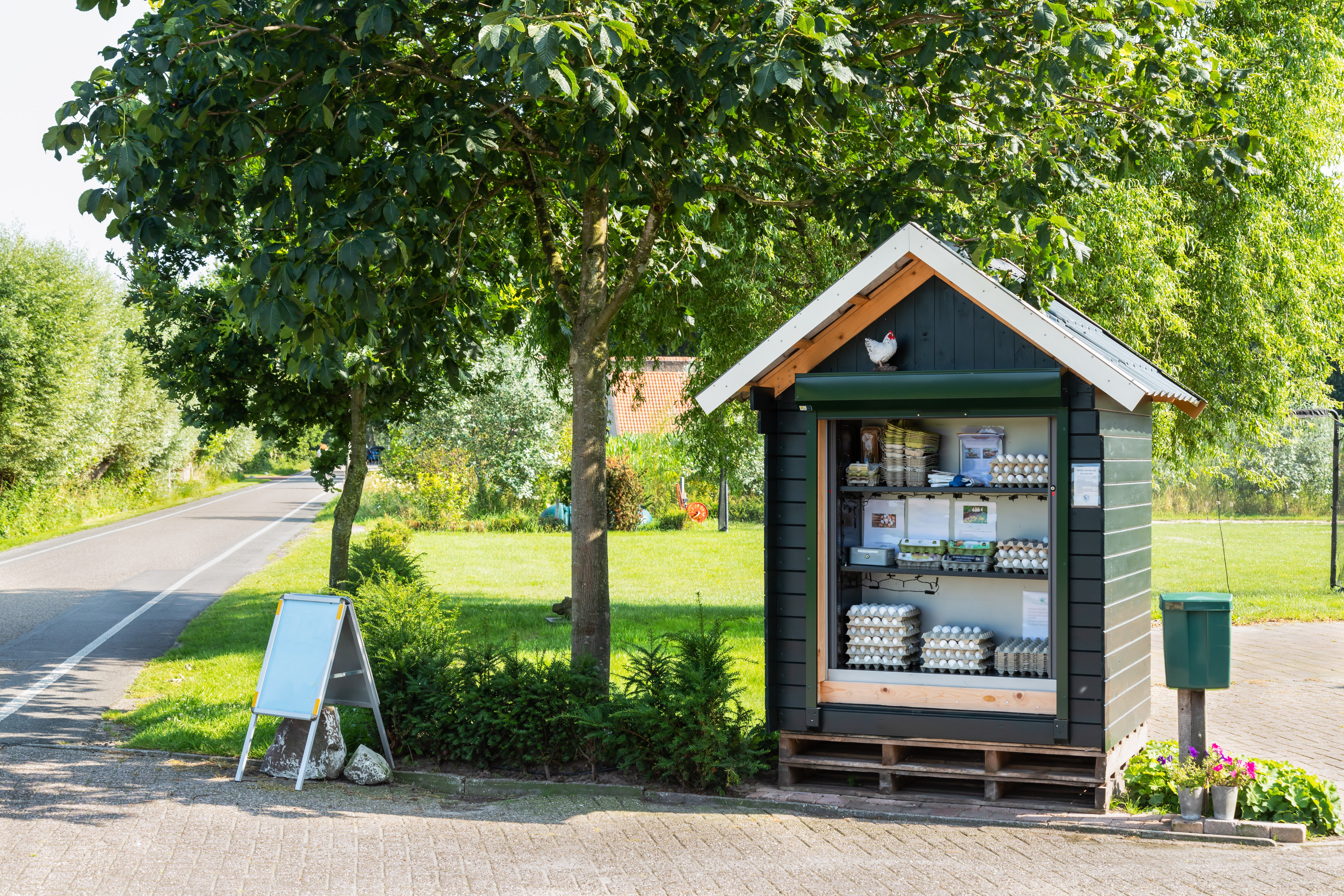 "Straatbibliotheek-kiosk omringd door bomen en gras in een buitenwijk.