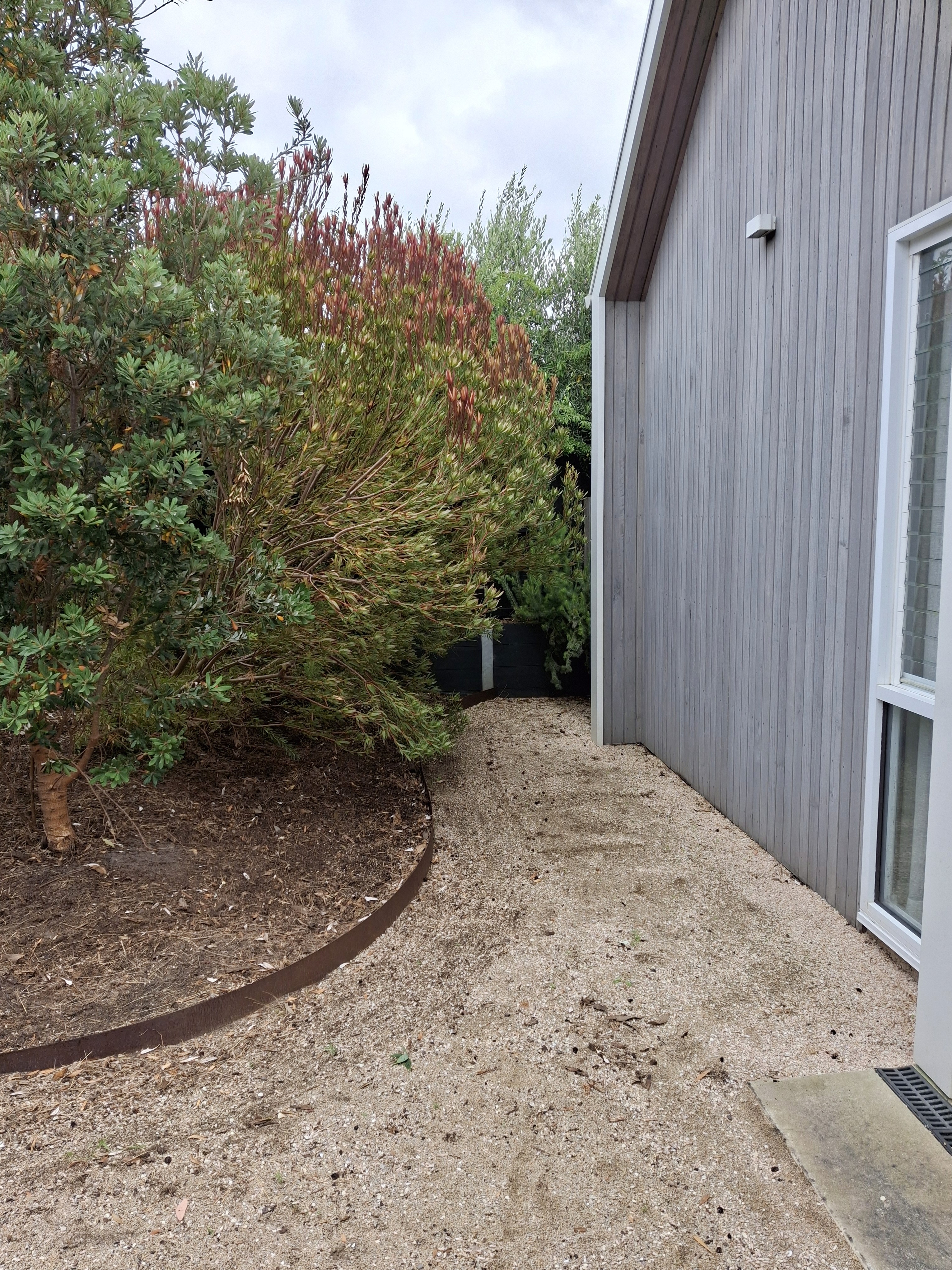 Dazzle Logo with sign vertical