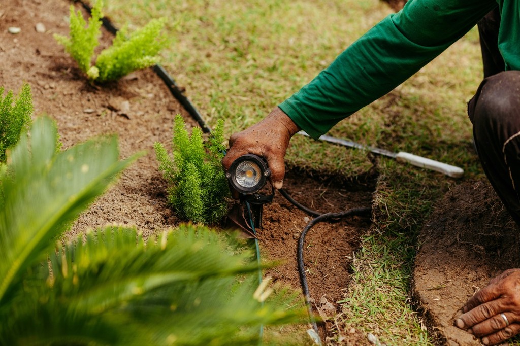 Hollywood Electrician