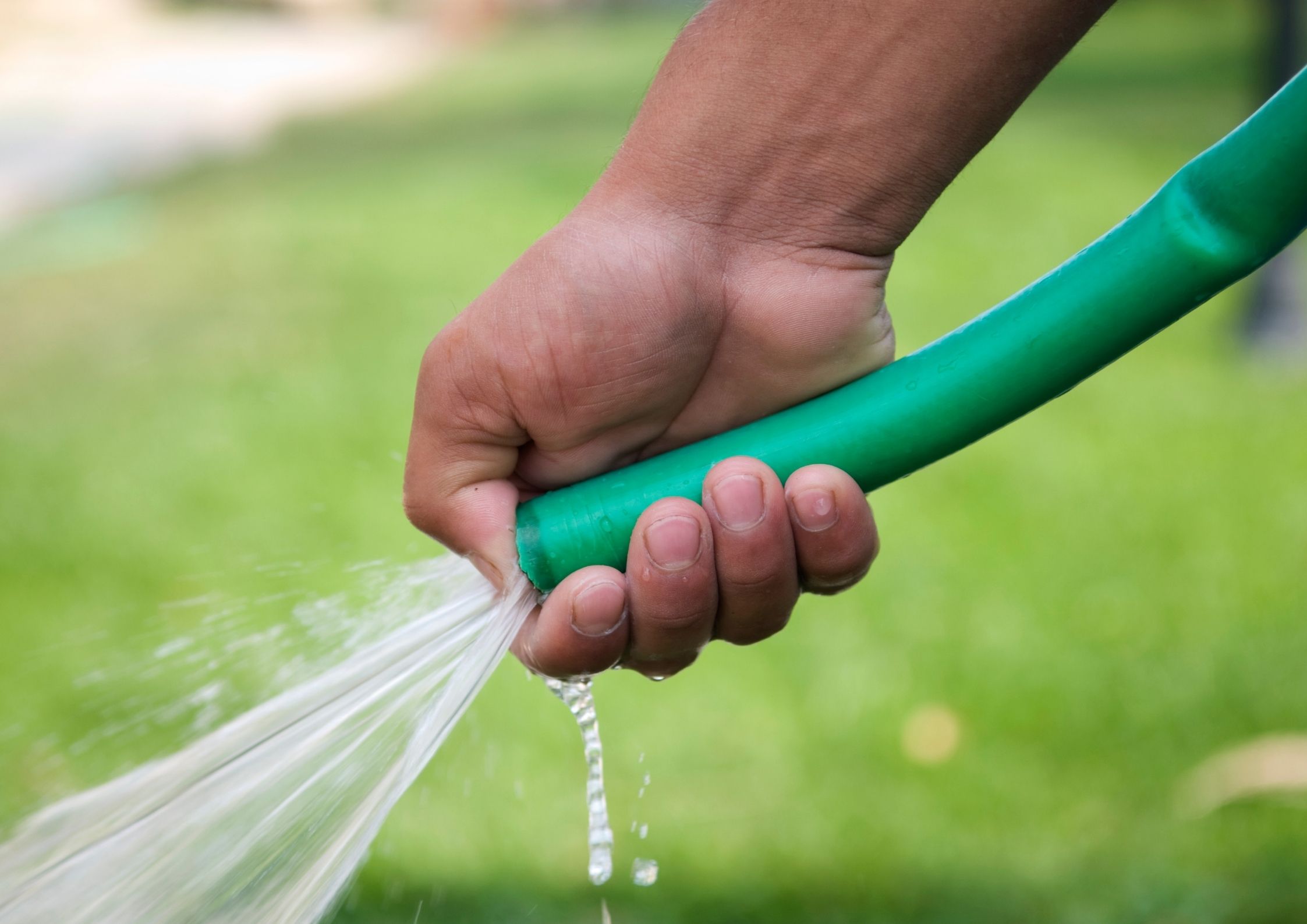 Essential gardening tasks in March