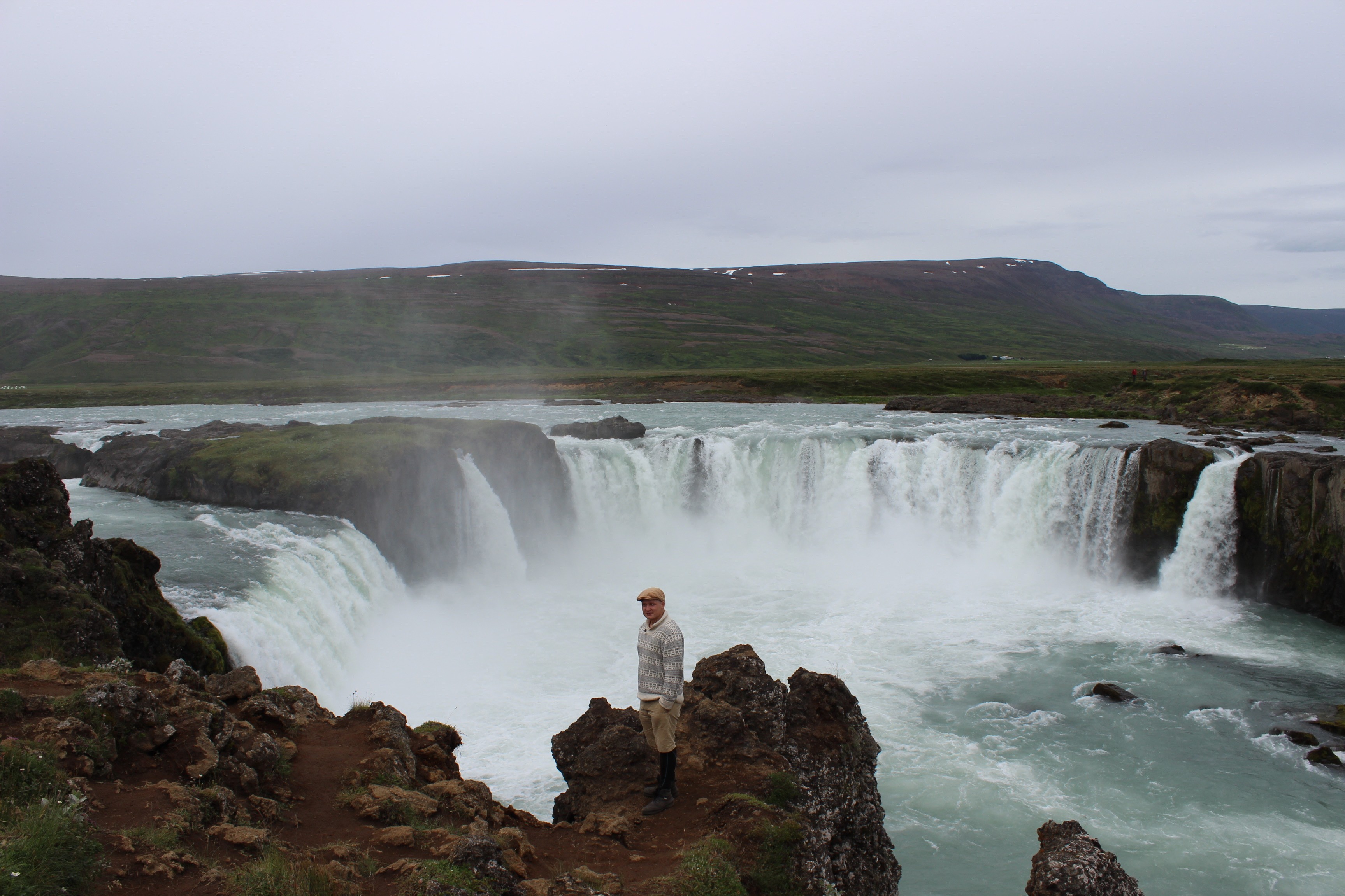 Island, Brown Trout, Arctic char, fjeldørred