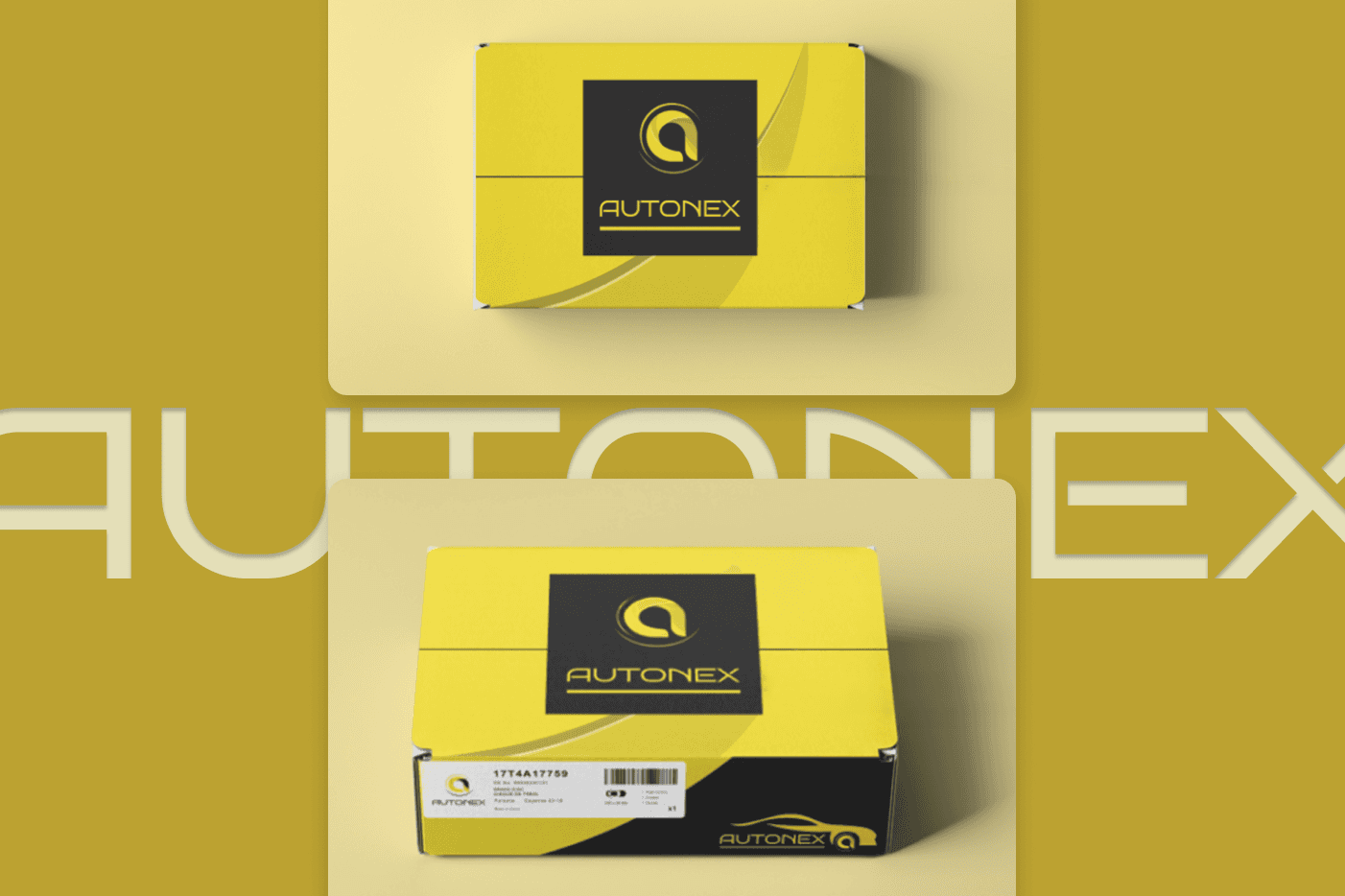 Brake Disc Package Design