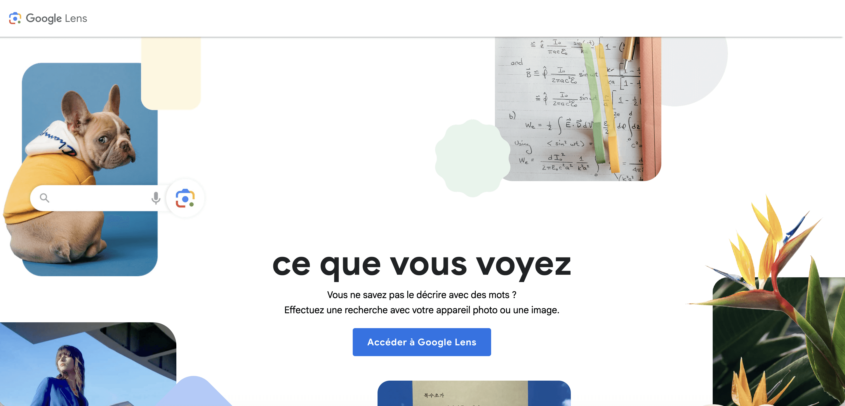 Google lens landing page