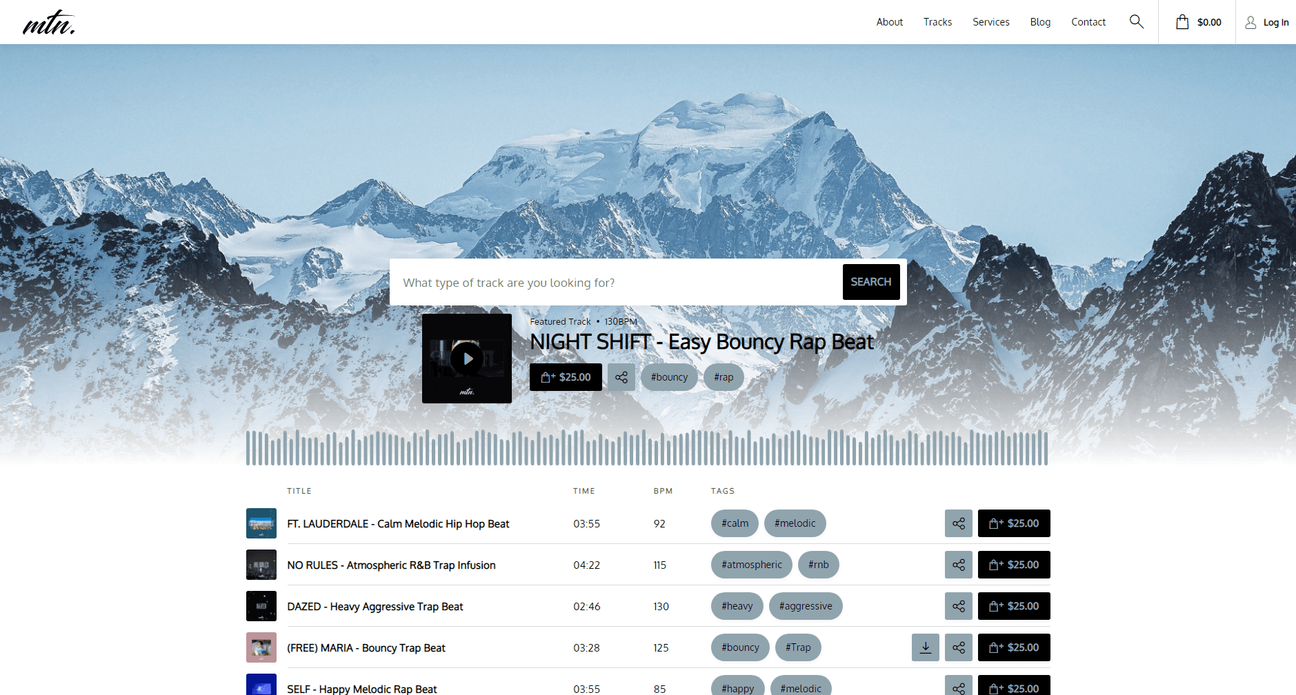 website landing page