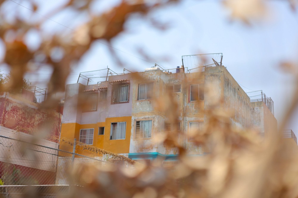 Photo by Renee G. Gudiño