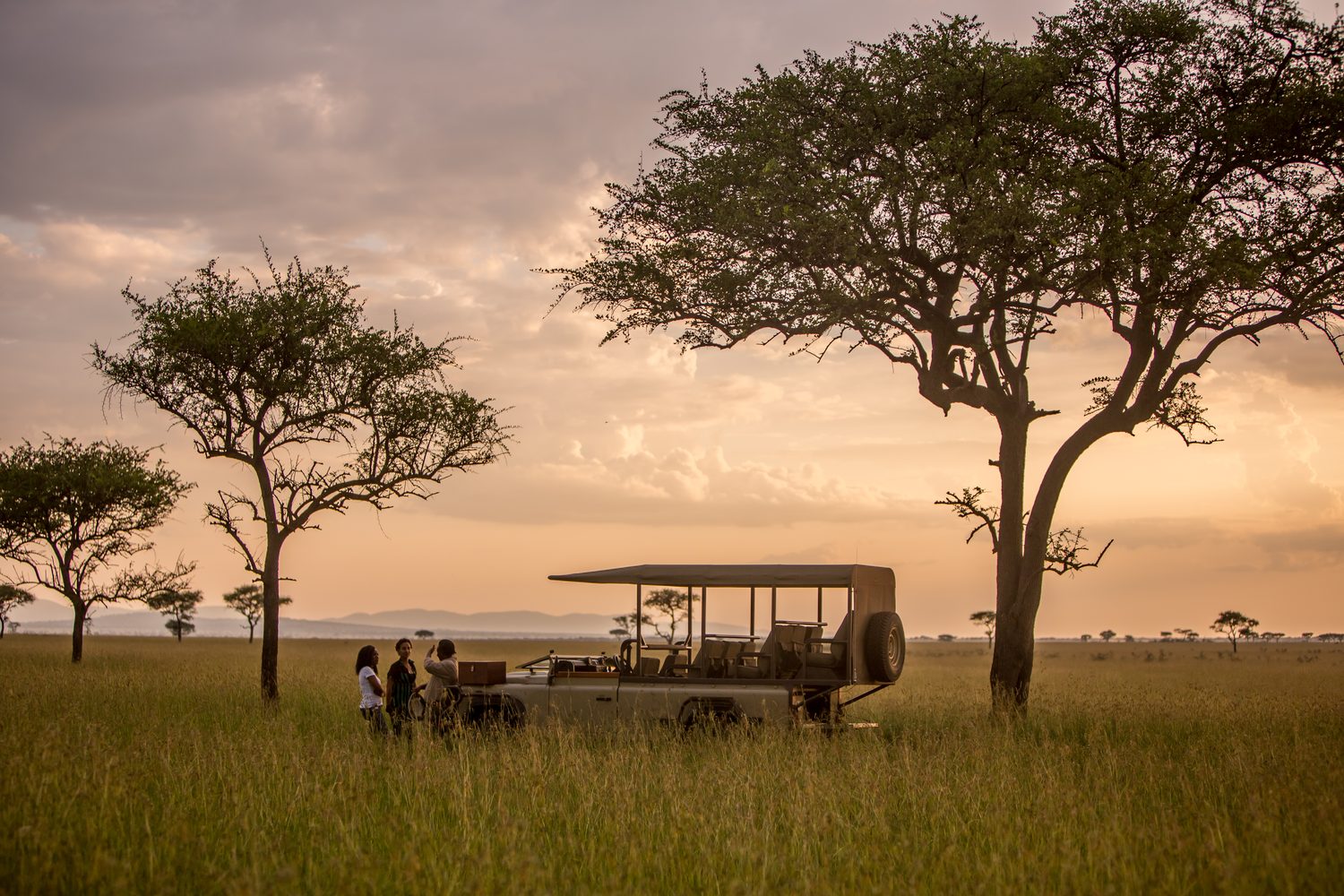Travelers beside their game-drive vehicle between acacias at dusk