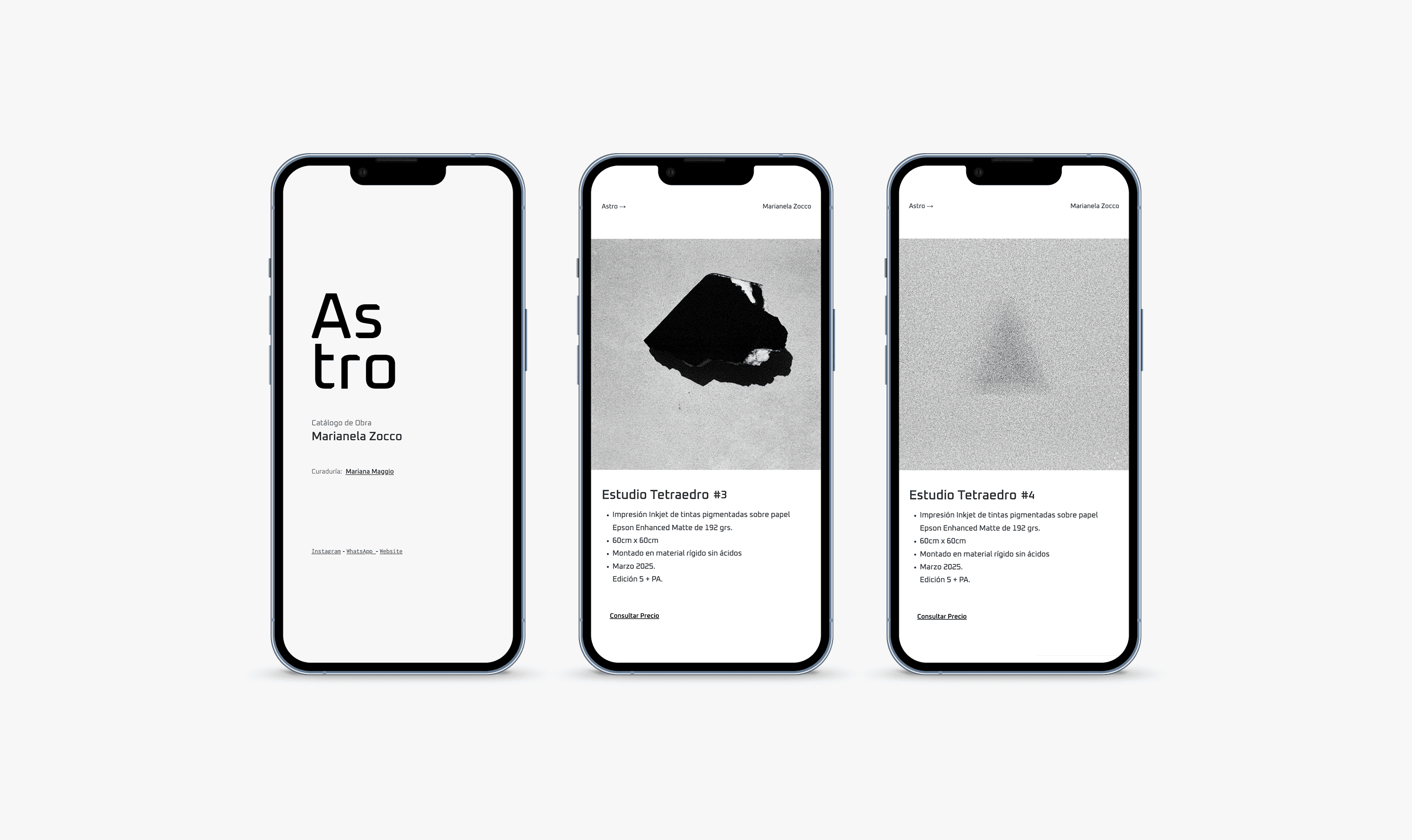 Large Project Gallery Image #1