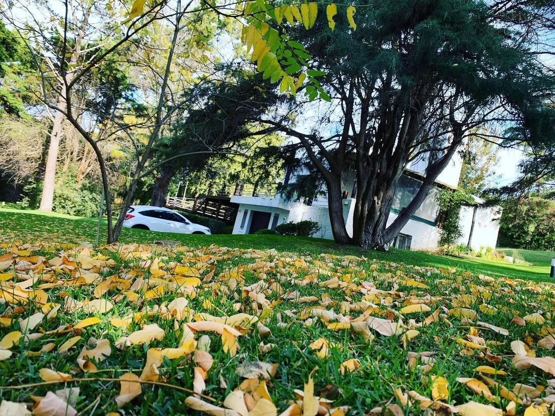 A circle of people sitting cross-legged, meditating with hands in a prayer position. Soft, warm lighting.