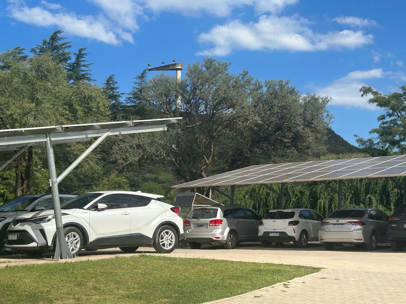 People are discussing about project