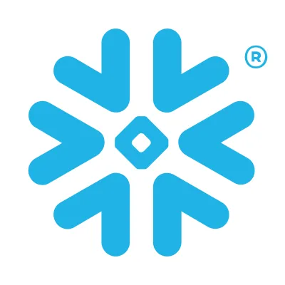 Snowflake icon