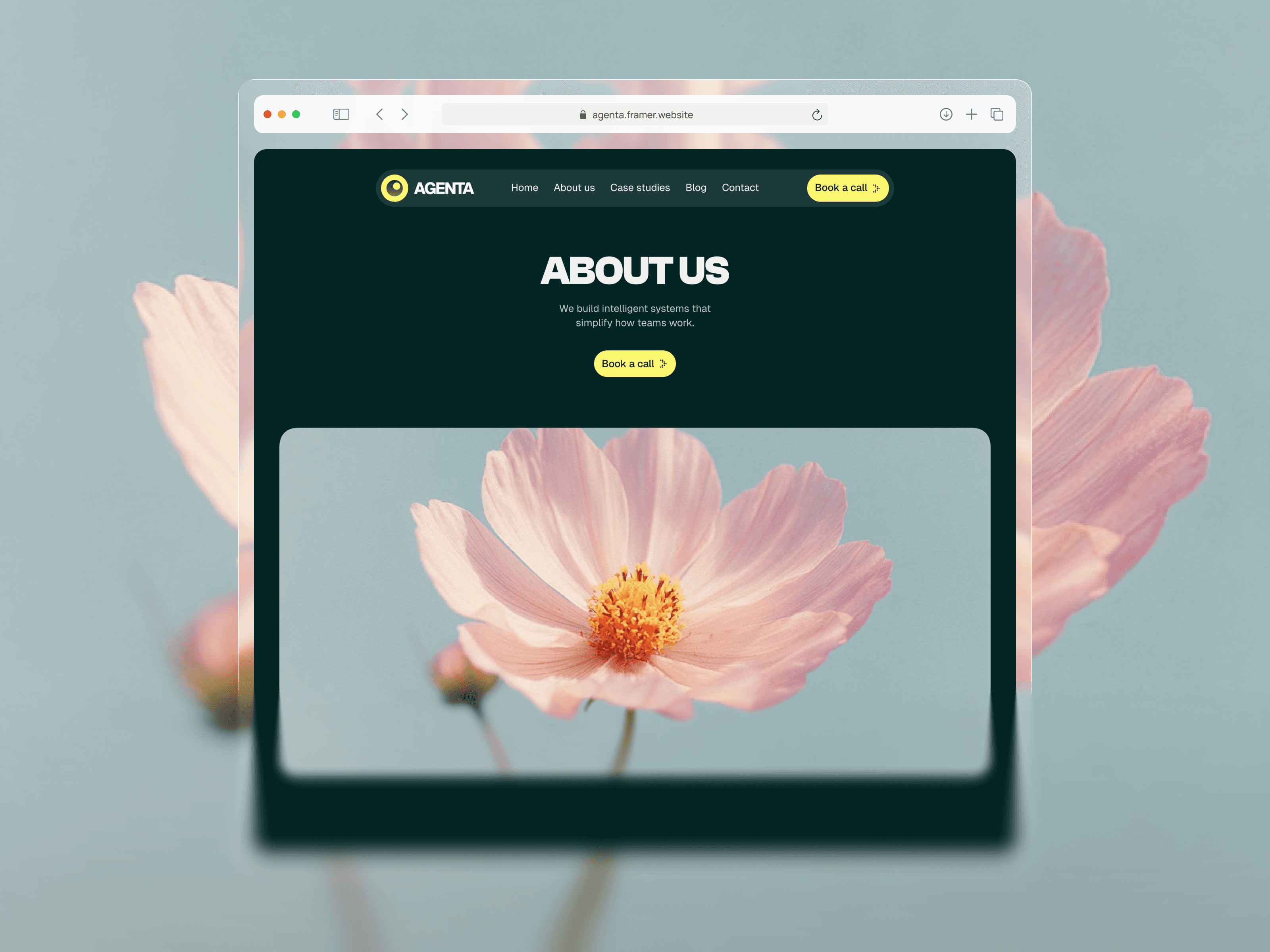 Describe this image here