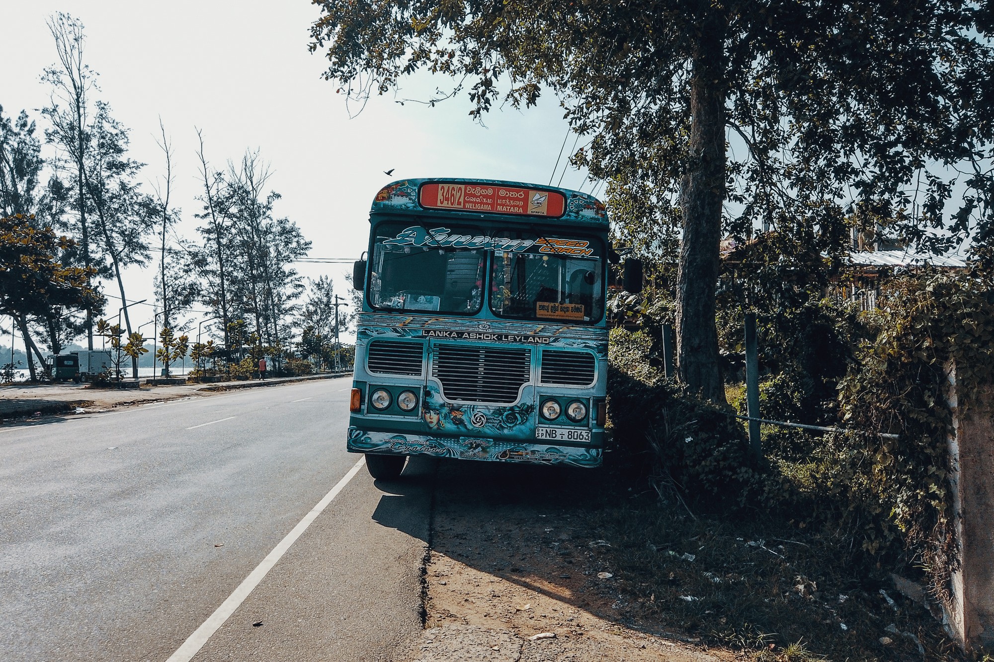 bus