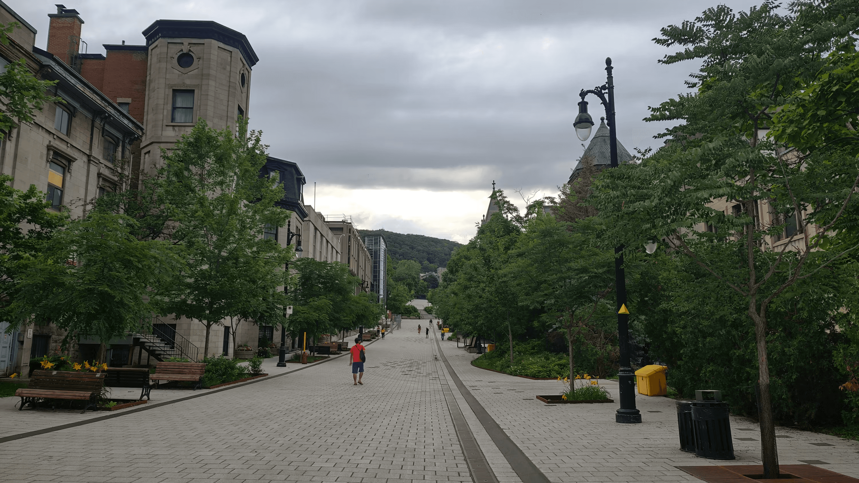 High school student conducting academic research to strengthen their McGill University application