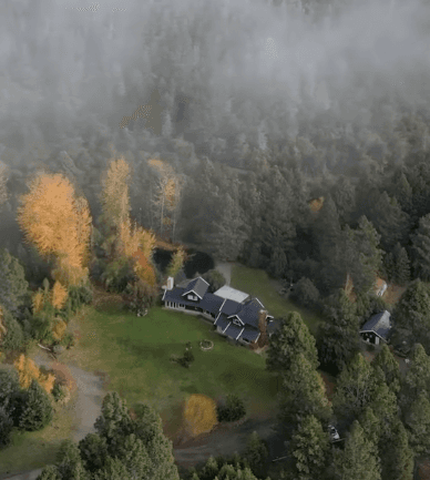 Here comes the alt text