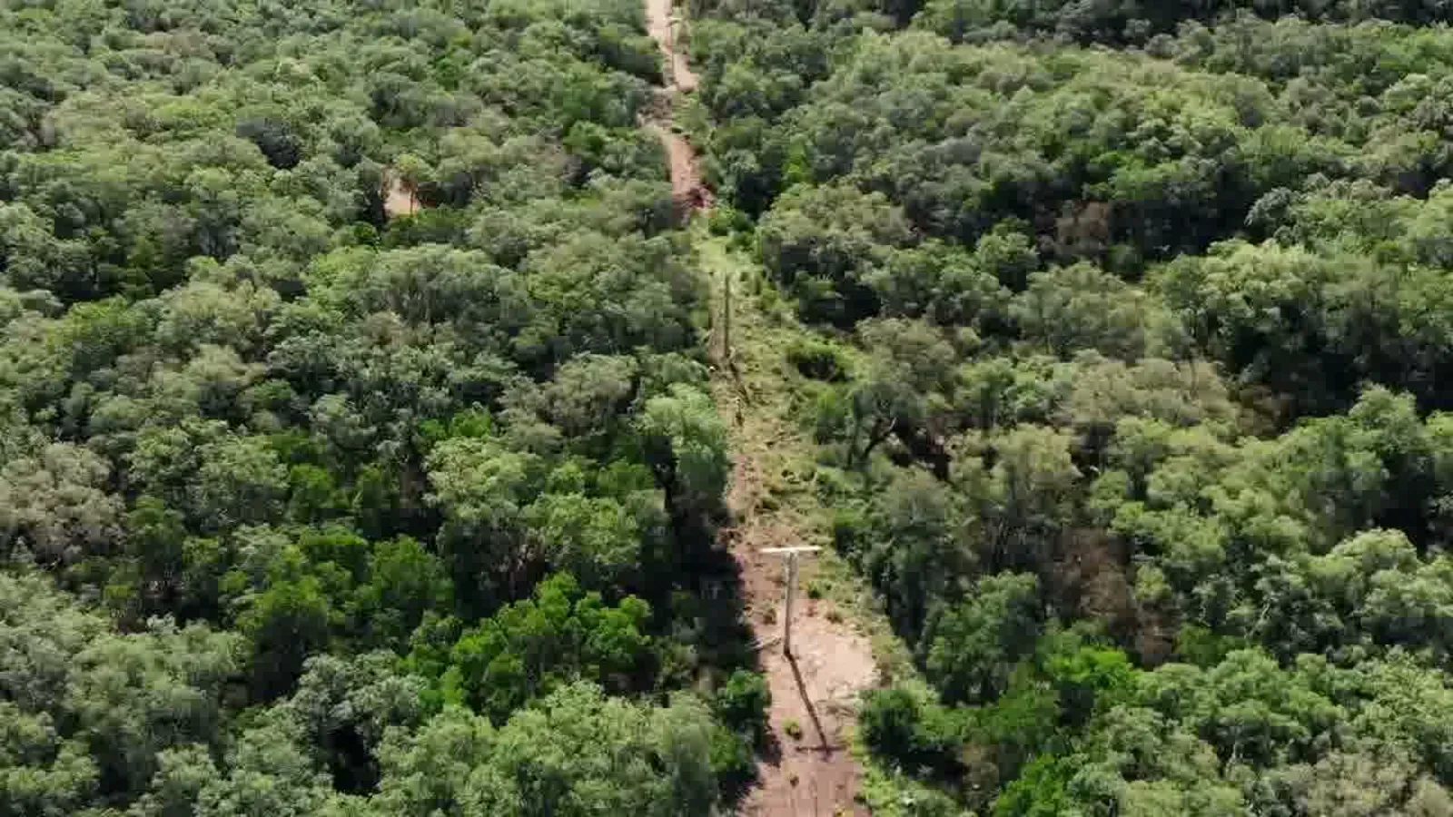 Vue aérienne drone d'un sentier de terre traversant une forêt dense verte