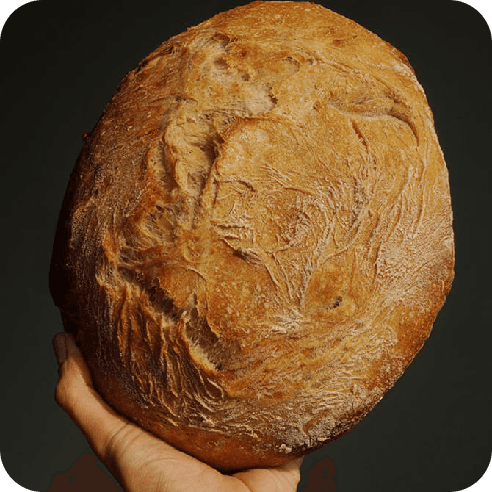 Hogaza de Agua completa sostenida en mano, destacando la rusticidad y horneado artesanal de Horneology.